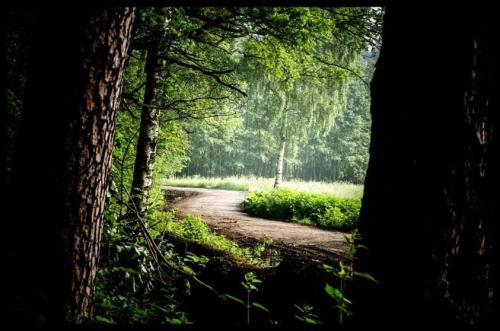 FB_IMG_1675317375726