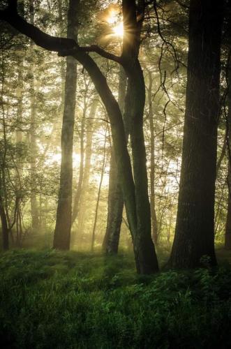 FB_IMG_1675317378327