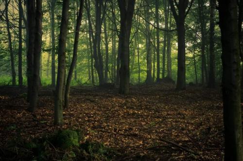 FB_IMG_1675317384264