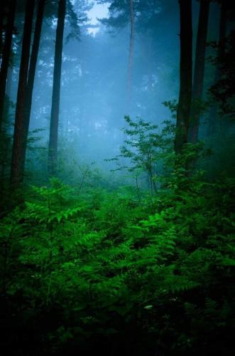 FB_IMG_1675317386809